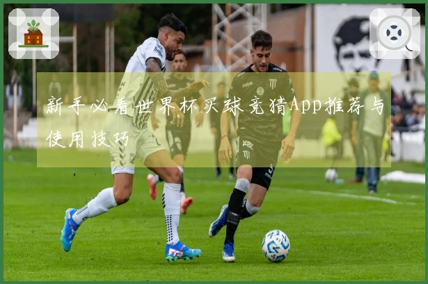 新手必看世界杯买球竞猜App推荐与使用技巧