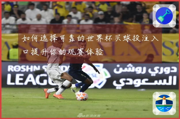 如何选择可靠的世界杯买球投注入口提升你的观赛体验
