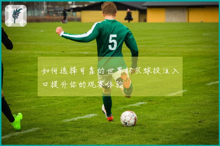 如何选择可靠的世界杯买球投注入口提升你的观赛体验