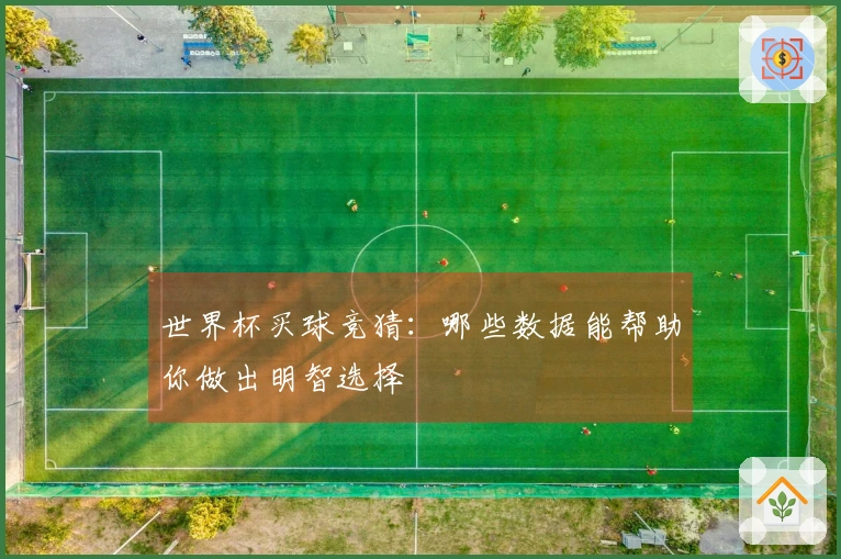 世界杯买球竞猜：哪些数据能帮助你做出明智选择