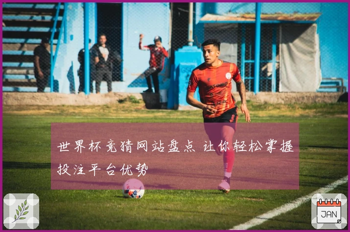 世界杯竞猜网站盘点 让你轻松掌握投注平台优势