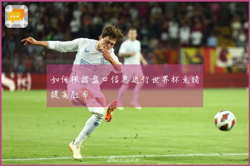 如何根据盘口信息进行世界杯竞猜提高胜率