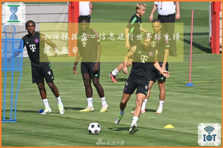 如何根据盘口信息进行世界杯竞猜提高胜率
