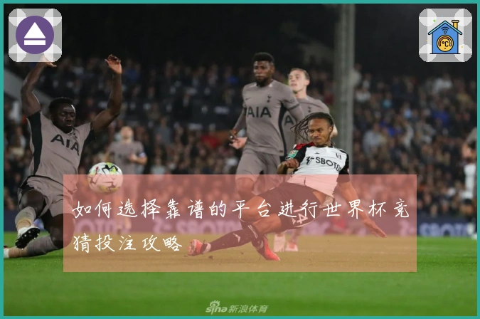 如何选择靠谱的平台进行世界杯竞猜投注攻略