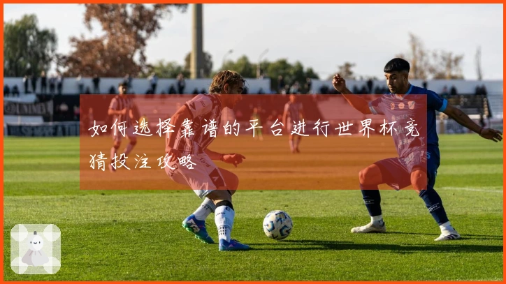 如何选择靠谱的平台进行世界杯竞猜投注攻略